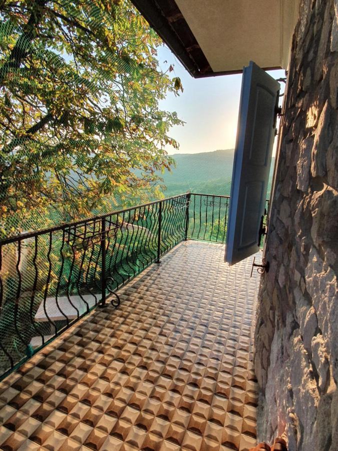 Casa Prodan Apartment Buzet Exterior photo